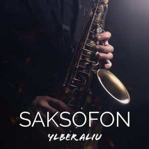 saksofon ylber aliu mp3 download